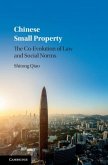 Chinese Small Property (eBook, PDF)