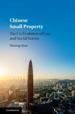 Chinese Small Property (eBook, PDF) - Qiao, Shitong