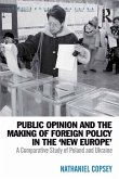 Public Opinion and the Making of Foreign Policy in the 'New Europe' (eBook, ePUB)