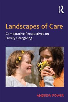 Landscapes of Care (eBook, PDF) - Power, Andrew