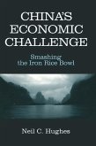 China's Economic Challenge: Smashing the Iron Rice Bowl (eBook, PDF)