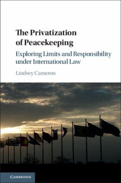 Privatization of Peacekeeping (eBook, PDF) - Cameron, Lindsey