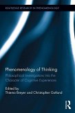 Phenomenology of Thinking (eBook, PDF)