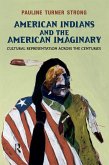 American Indians and the American Imaginary (eBook, ePUB)