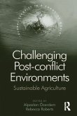 Challenging Post-conflict Environments (eBook, ePUB)