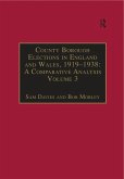 County Borough Elections in England and Wales, 1919-1938: A Comparative Analysis (eBook, ePUB)