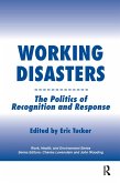 Working Disasters (eBook, PDF)