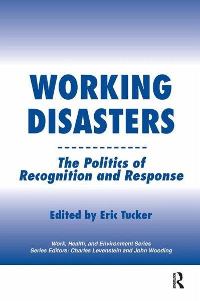 Working Disasters (eBook, PDF)