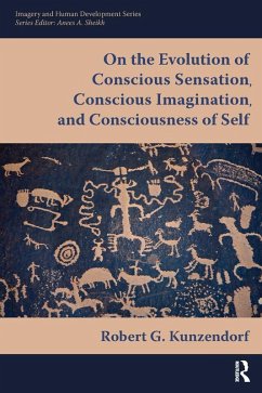 Cover On the Evolution of Conscious Sensation, Conscious Imagination, and Consciousness of Self (eBook, PDF)