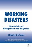 Working Disasters (eBook, ePUB)