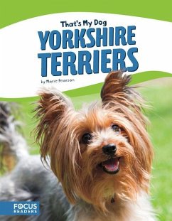 Yorkshire Terriers - Pearson, Marie