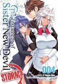 The Testament of Sister New Devil Storm! Vol. 4 The Testament of Sister New Devil Storm! Vol. 4