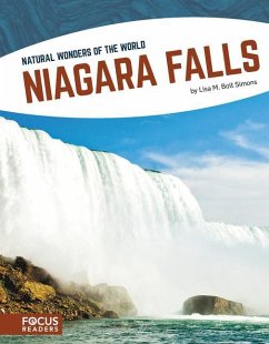 Niagara Falls - Bolt Simons, Lisa M