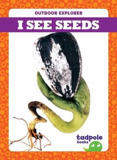 I See Seeds - Mayerling, Tim