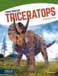 Triceratops - Bild 1