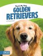 Golden Retrievers - Bild 1