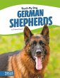 German Shepherds - Bild 1