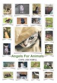 Angels for Animals