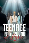 Teenage Playground of Love Teenage Playground of Love