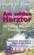 Am wilden Harztor: Im hohen Norden... - Bild 1