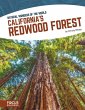 California's Redwood Forest - Bild 1