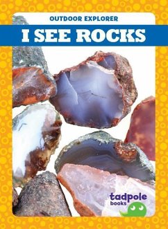 I See Rocks - Mayerling, Tim