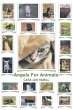 Angels for Animals - Bild 1