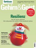 Gehirn&Geist 11/2017 - Resilienz (eBook, PDF)