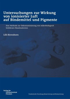 Untersuchungen zur Wirkung von ionisierter Luft auf Bindemittel und Pigmente - Birresborn, Lilli