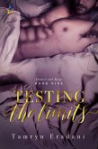 Testing the Limits (Daniel and Ryan, #9) (eBook, ePUB)