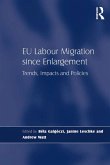 EU Labour Migration since Enlargement (eBook, ePUB)