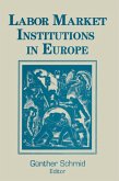 Labor Market Institutions in Europe: A Socioeconomic Evaluation of Performance (eBook, PDF)