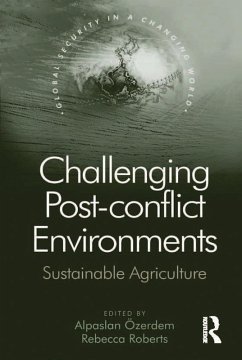 Cover Challenging Post-conflict Environments (eBook, PDF)