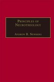 Principles of Neurotheology (eBook, ePUB)
