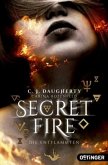 Die Entflammten / Secret Fire Bd.1