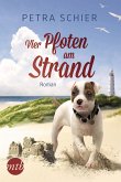 Vier Pfoten am Strand / Lichterhaven Bd.2 (eBook, ePUB)