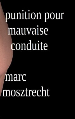 Punition Pour Mauvaise Conduite (Châtiment Professionnel, #2) (eBook, ePUB) - Mosztrecht, Marc