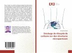 Stockage de dioxyde de carbone sur des structures microporeuses