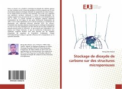 Stockage de dioxyde de carbone sur des structures microporeuses - Ben Braiek, Mongi