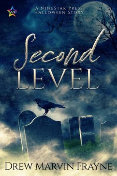 Second Level (eBook, ePUB) - Frayne, Drew Marvin