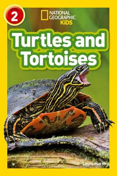 Marsh, L: Turtles and Tortoises - Marsh, Laura; National Geographic Kids