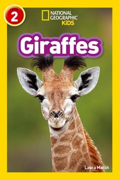 Marsh, L: Giraffes - Marsh, Laura; National Geographic Kids