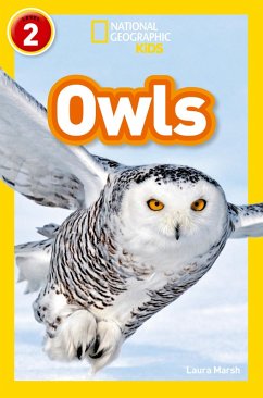 Marsh, L: Owls - Marsh, Laura; National National Geographic Kids