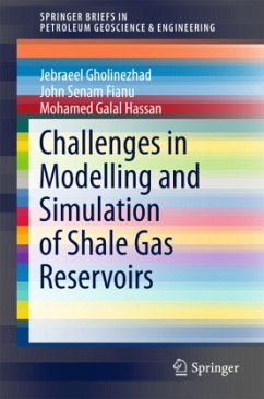 Challenges in Modelling and Simulation of Shale Gas Reservoirs - Gholinezhad, Jebraeel;Fianu, John Senam;Galal Hassan, Mohamed