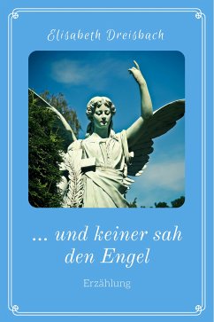 ... und keiner sah den Engel (eBook, ePUB) - Dreisbach, Elisabeth