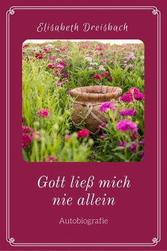 Gott ließ mich nie allein (eBook, ePUB) - Dreisbach, Elisabeth