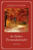 In Gottes Terminkalender (eBook, ePUB)