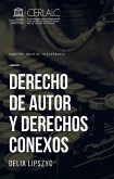 Derecho de autor y derechos conexos (eBook, ePUB)