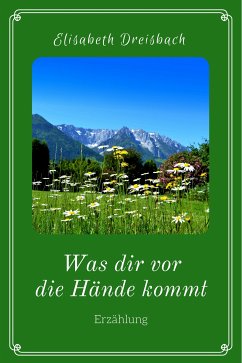 Was dir vor die Hände kommt (eBook, ePUB) - Dreisbach, Elisabeth