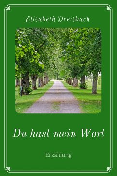 Du hast mein Wort (eBook, ePUB) - Dreisbach, Elisabeth